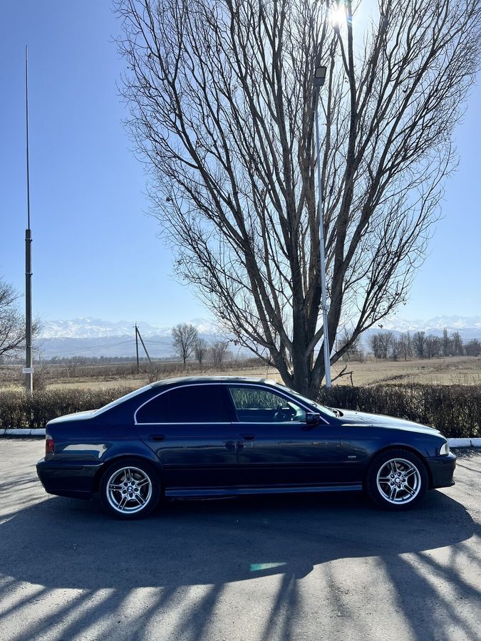 Фото 4