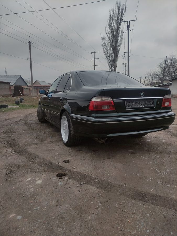 Фото 4