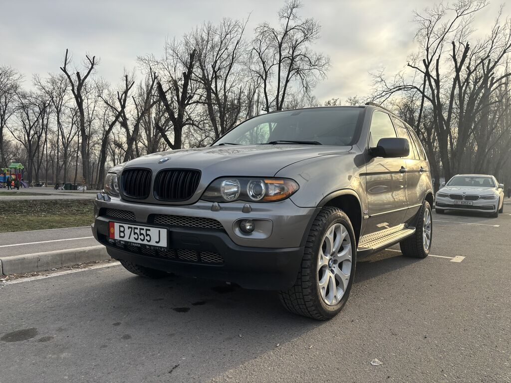 BMW X5