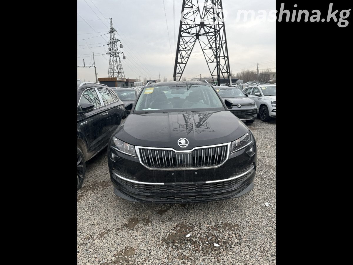 Skoda Karoq I