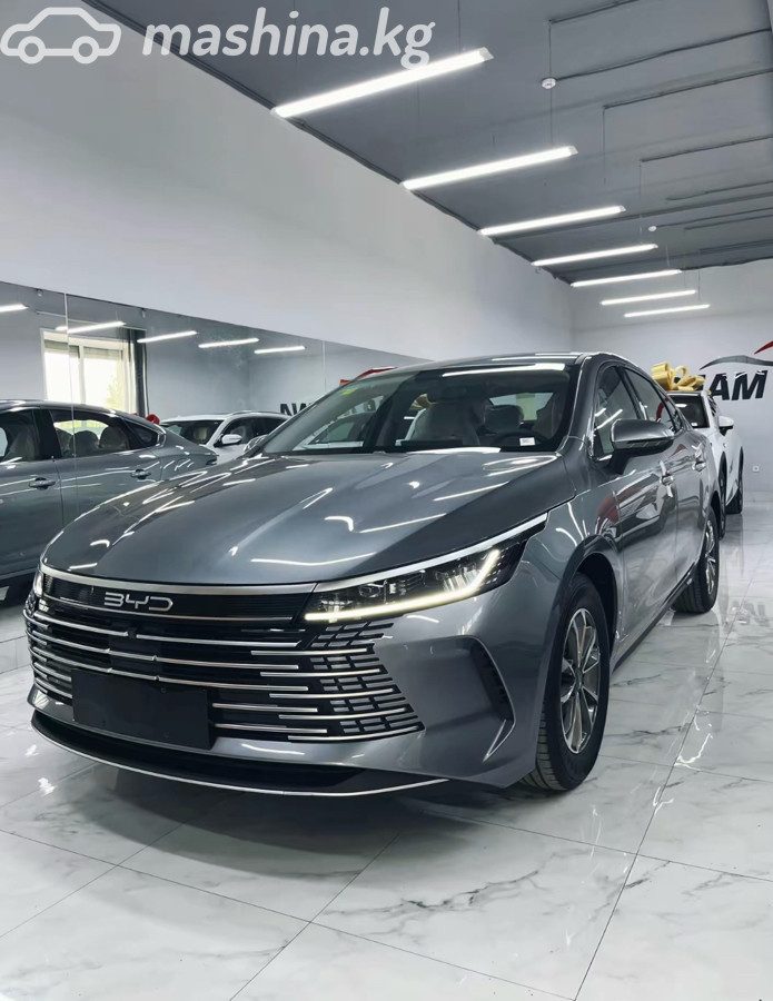 BYD Destroyer 05