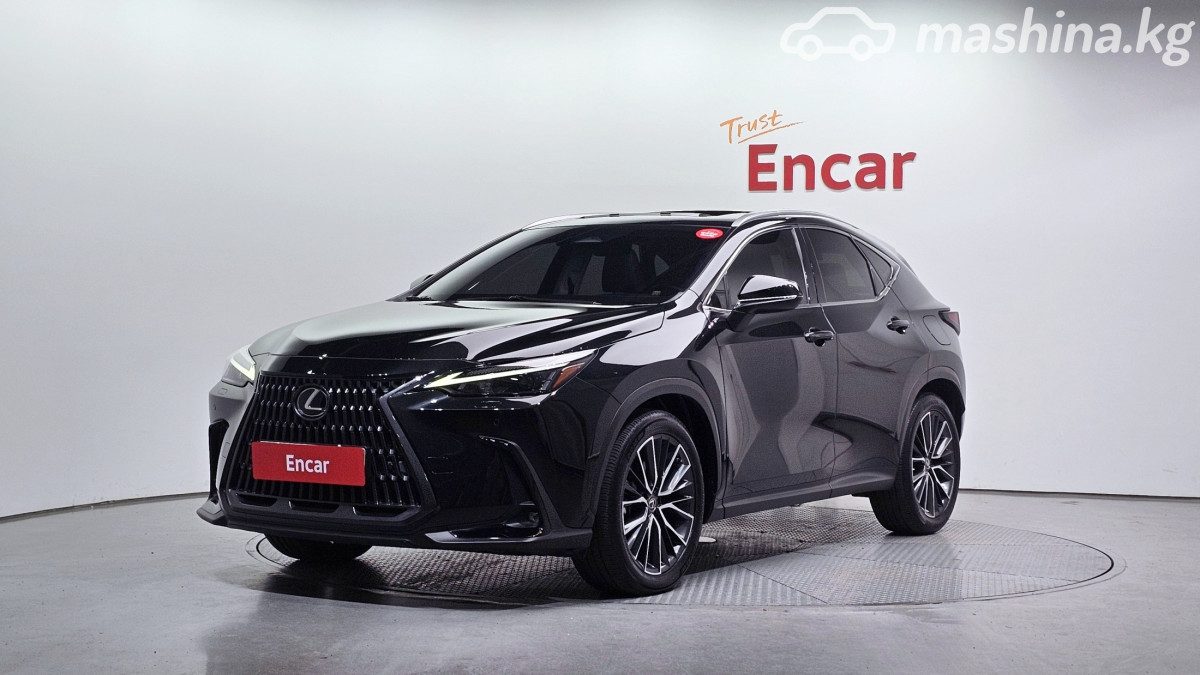 Lexus NX II