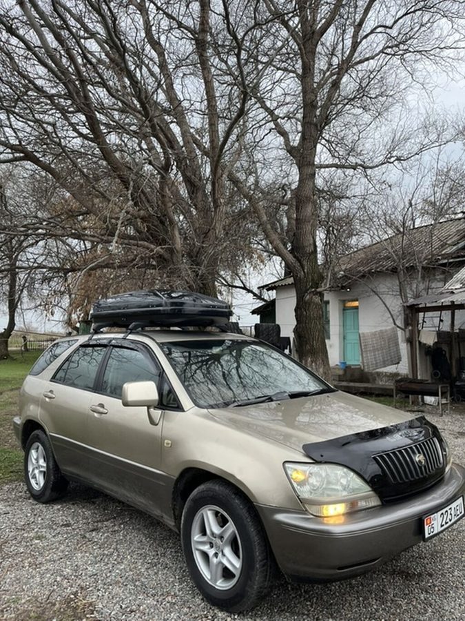 Lexus RX