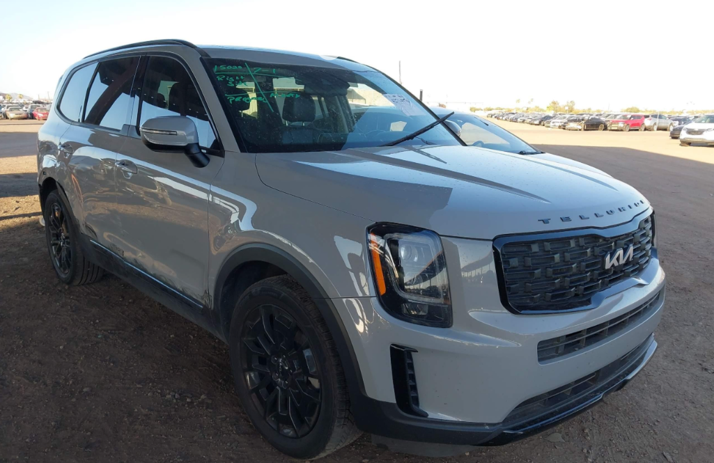 Kia Telluride I