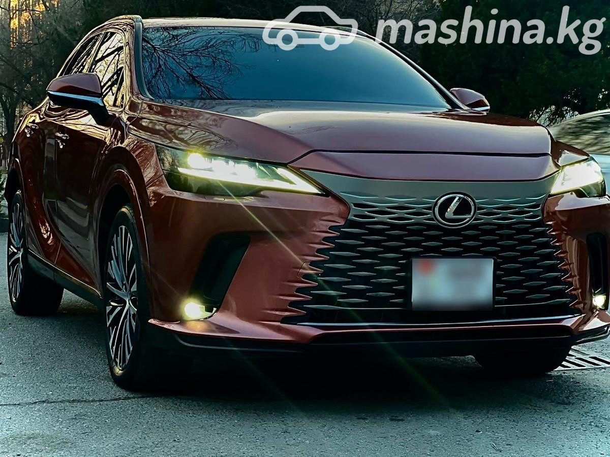 Lexus RX V