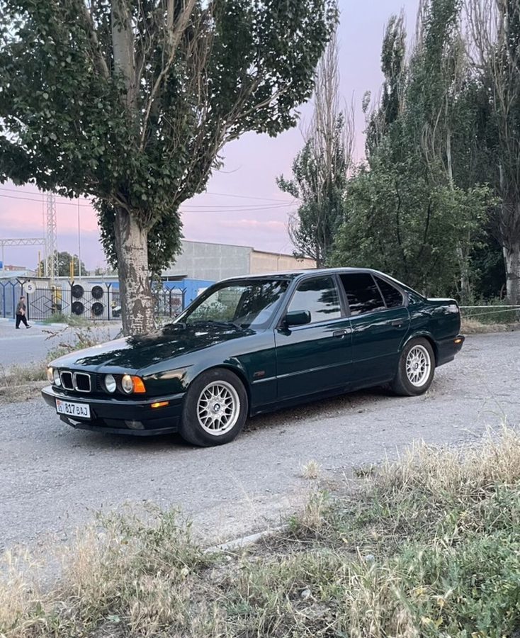 Фото 4