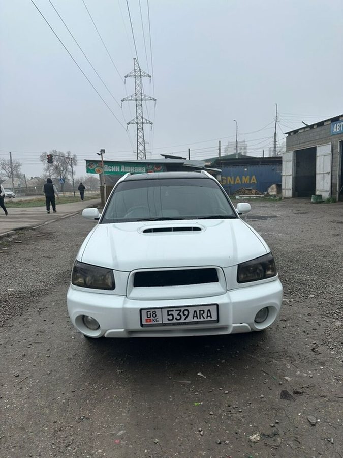 Фото 4