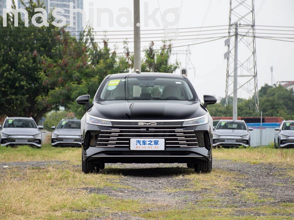 BYD Destroyer 05 2024