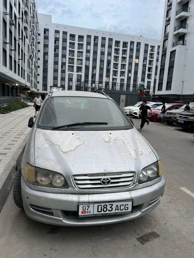 Toyota Ipsum