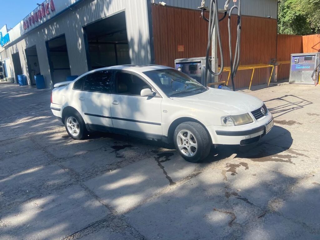 Фото 4