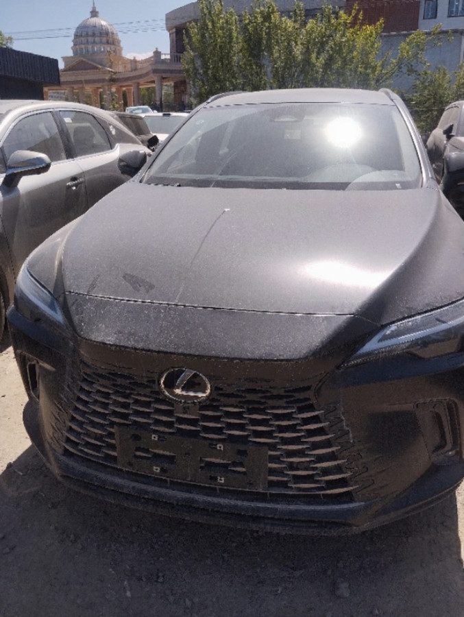 Lexus RX V