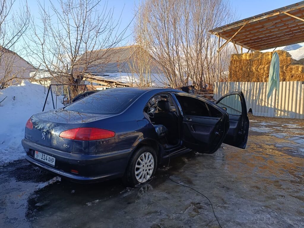 Peugeot 607