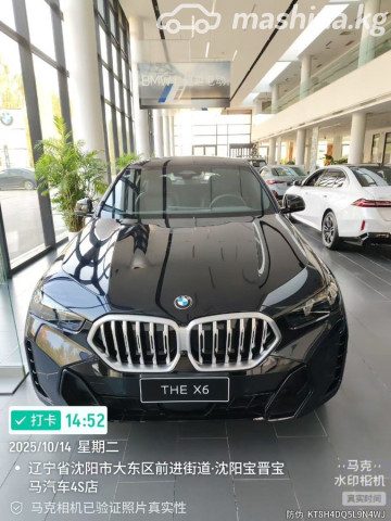 BMW X6