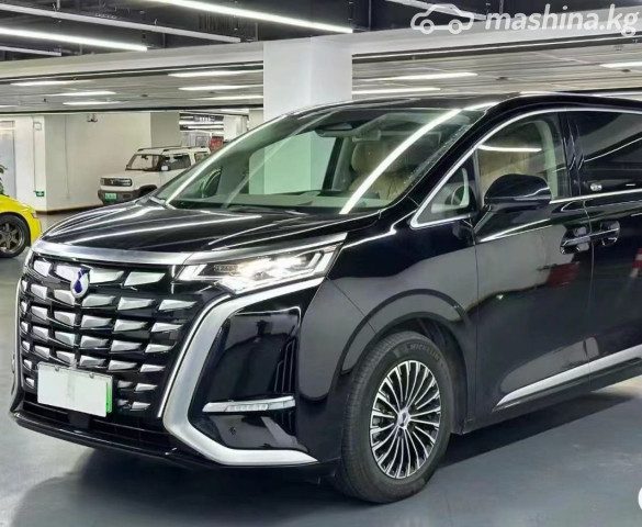 Denza D9