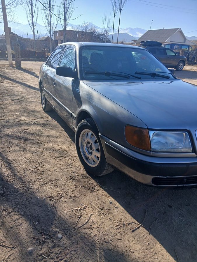 Audi 100