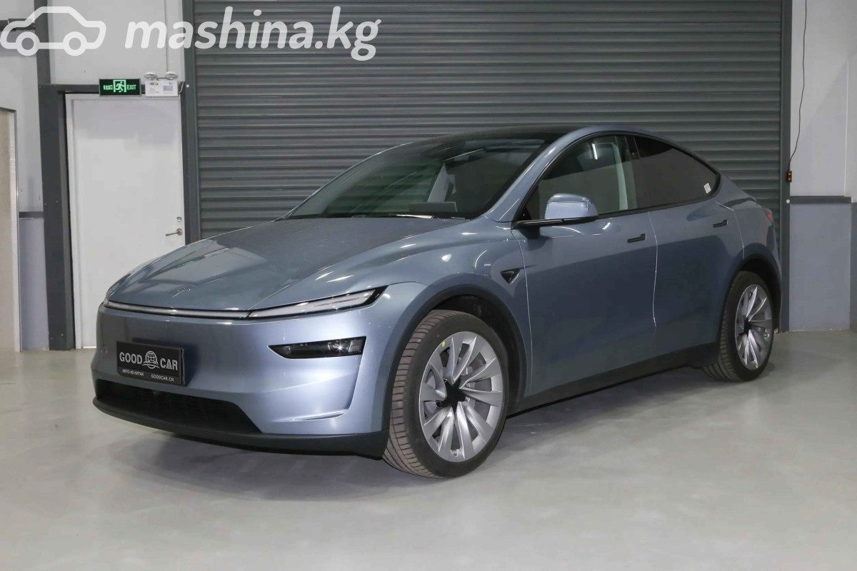 Tesla Model Y I