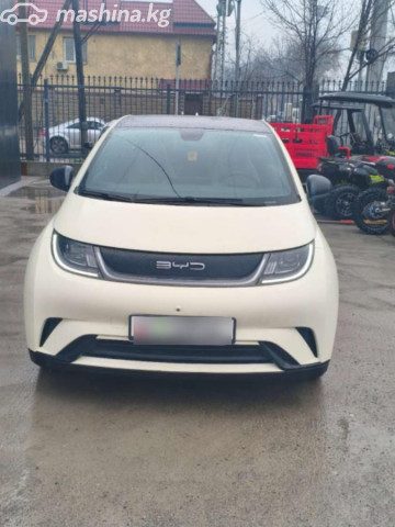 BYD Dolphin