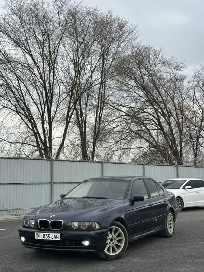 Фото 4