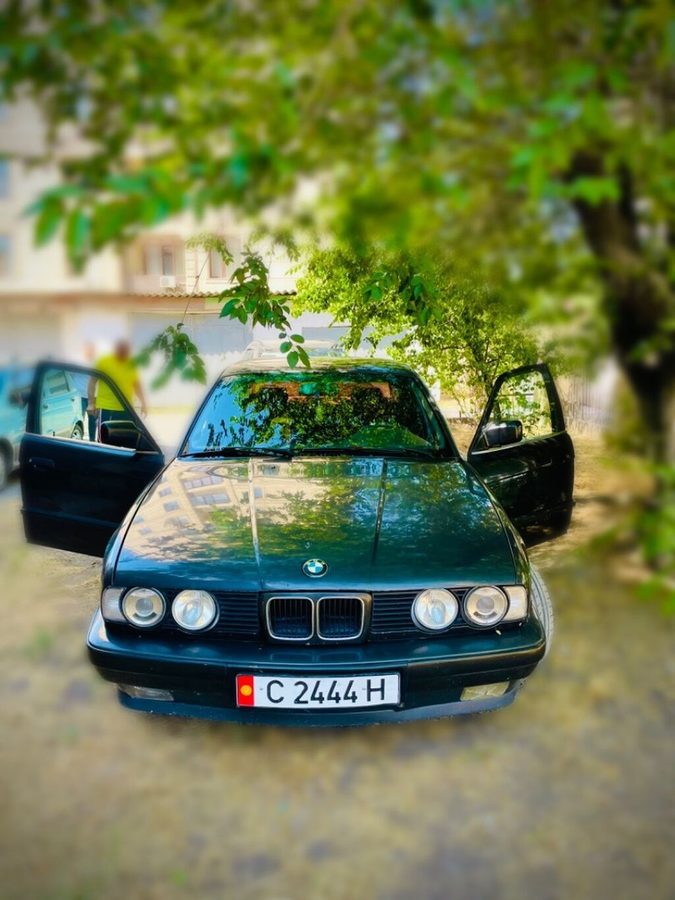 Фото 3