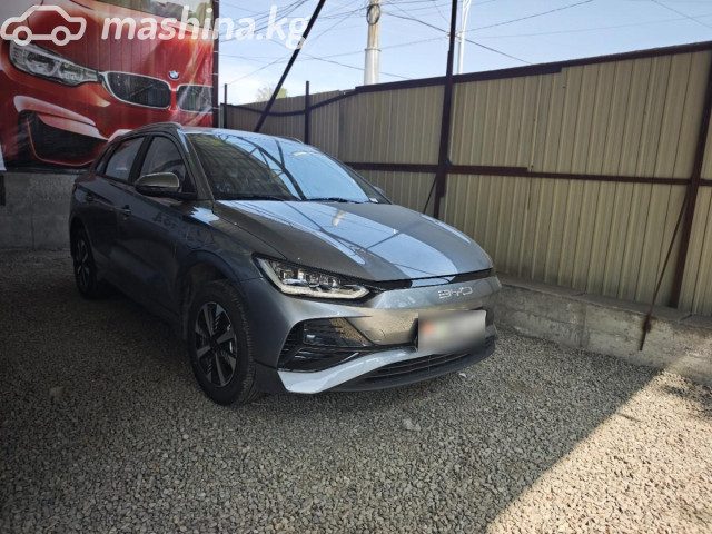 BYD E2