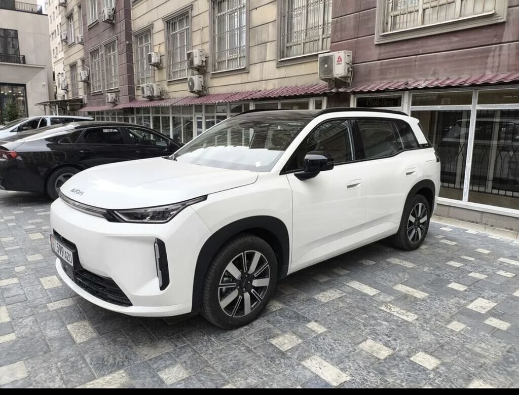 BYD E2