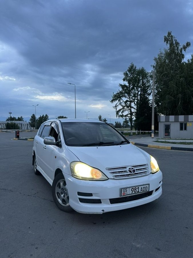 Toyota Ipsum