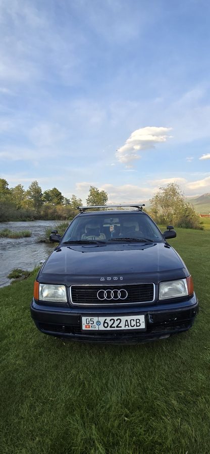 Audi 100