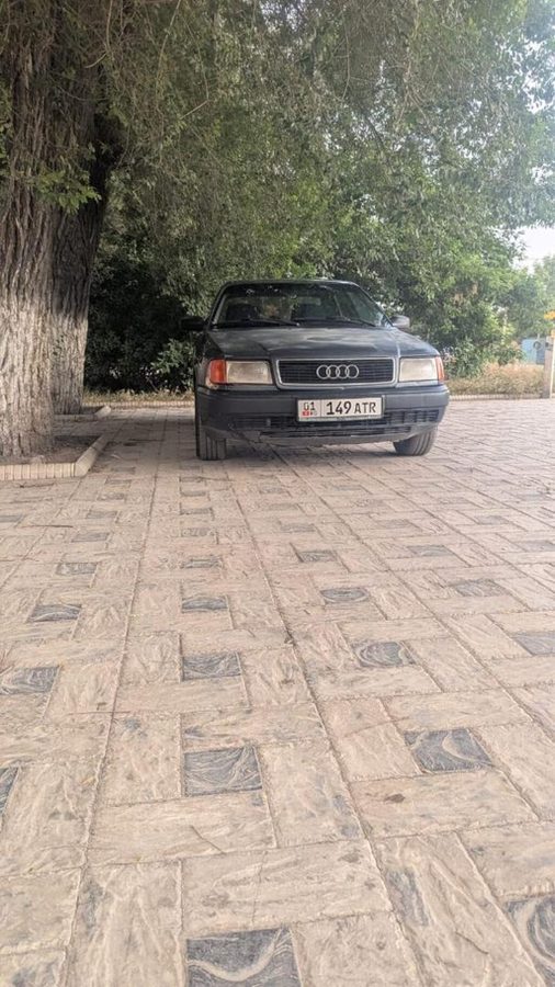 Audi 100