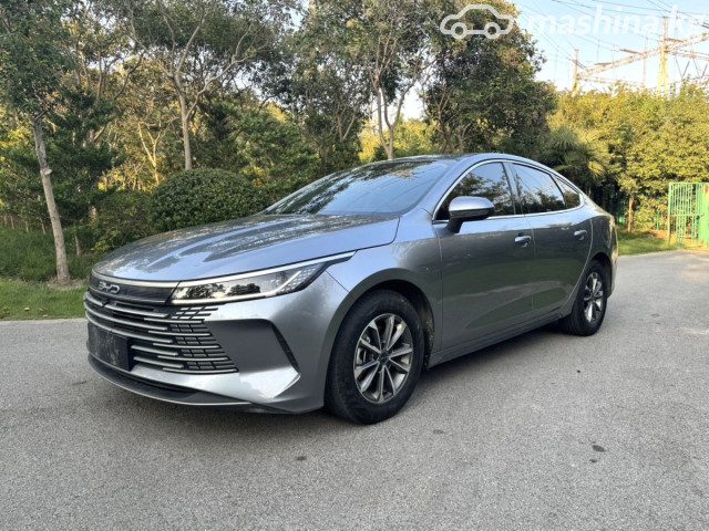 BYD Destroyer 05