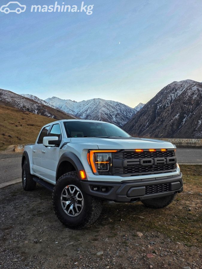 Ford F-150 XIV