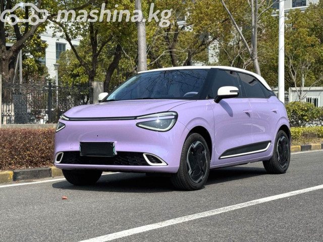 Dongfeng Nammi 01