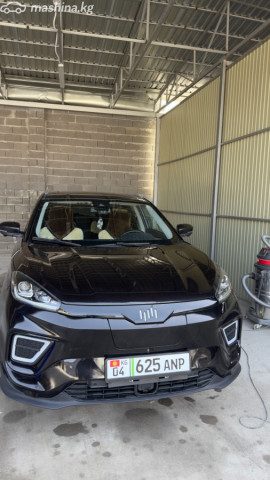 Weltmeister EX5