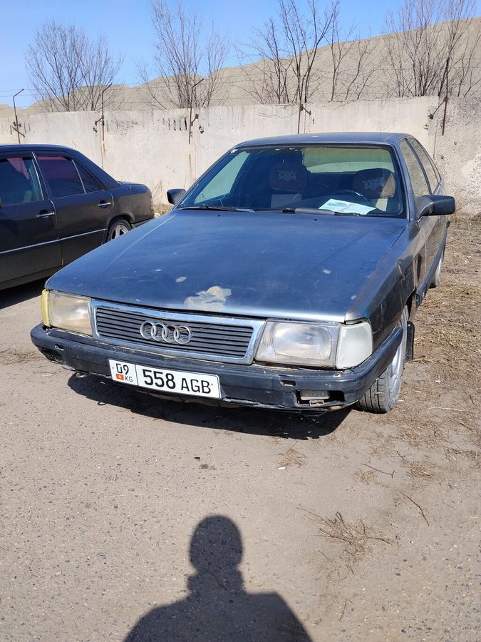 Audi 100