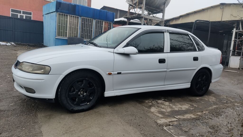 Фото 4