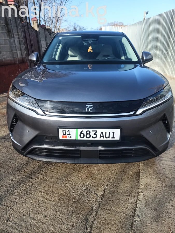 BYD Yuan Up 2025
