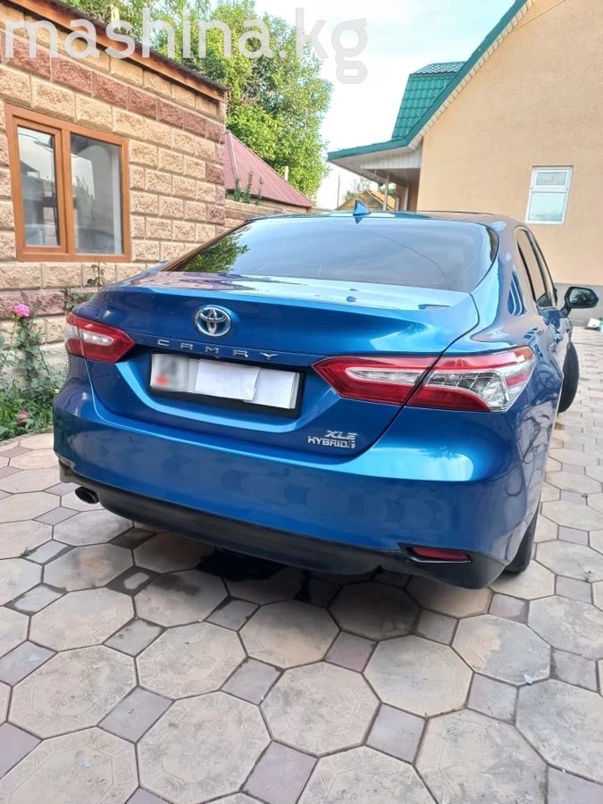 Toyota Camry VIII (XV70) 2019