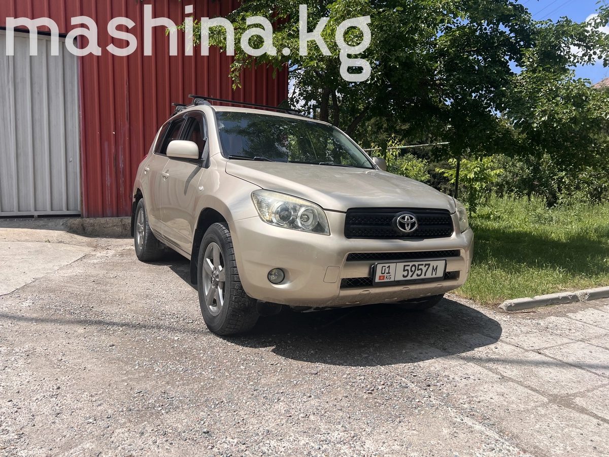 Toyota RAV4 III (XA30) 2008