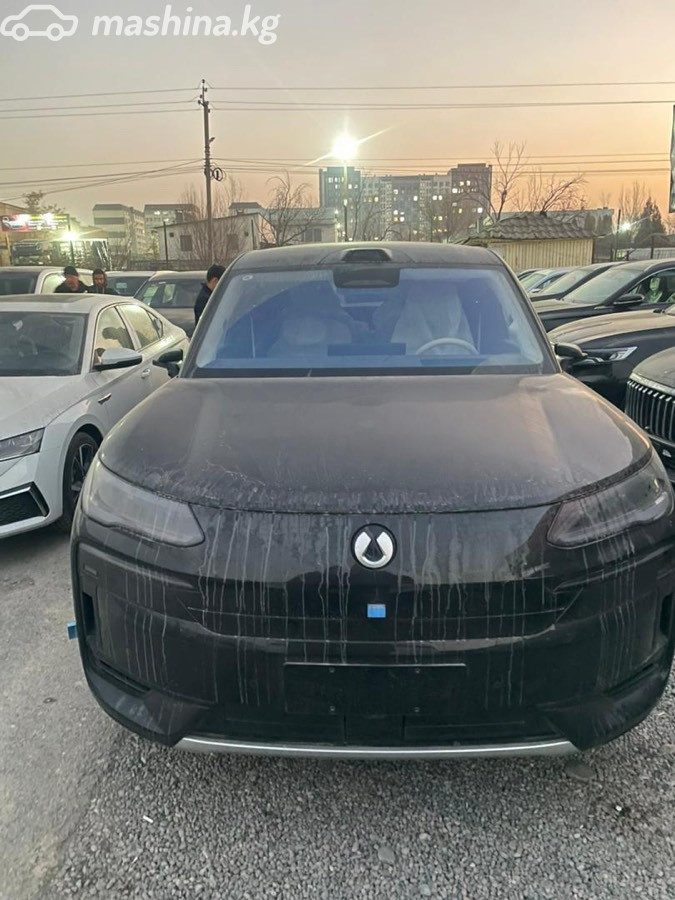 Denza N9