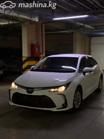 Фото 3