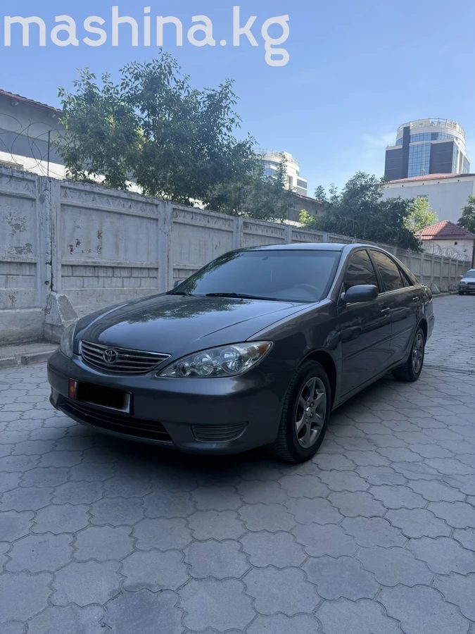 Toyota Camry V (XV30) 2006