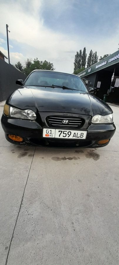 Фото 4