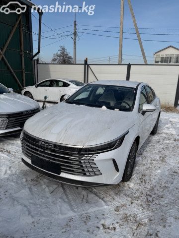 BYD Destroyer 05
