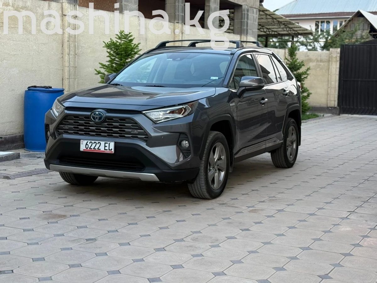 Toyota RAV4 V (XA50) 2019
