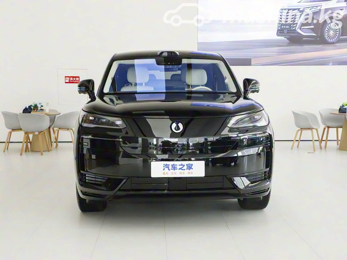 Denza N9