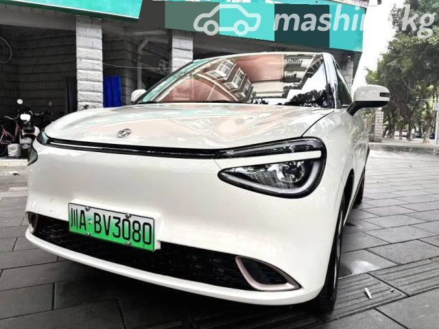 Dongfeng Nammi 01