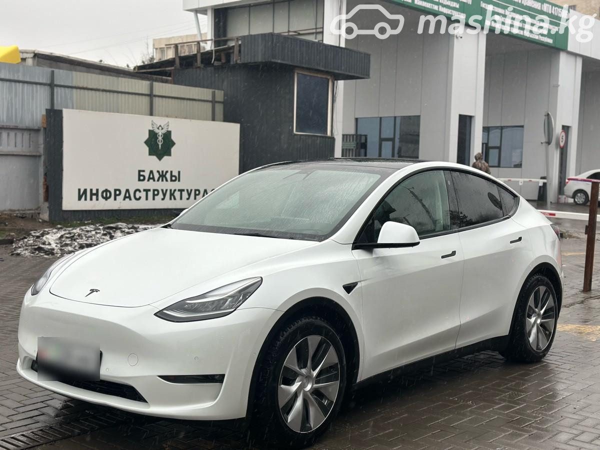 Tesla Model Y I