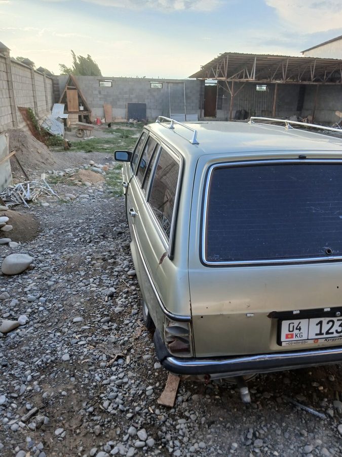 Mercedes-Benz W123