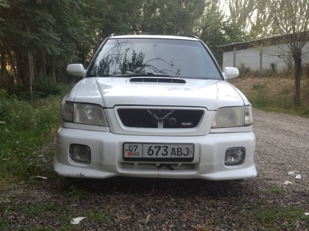 Фото 4