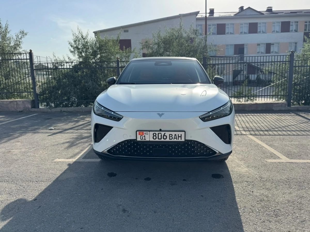 Hozon Neta L 2024