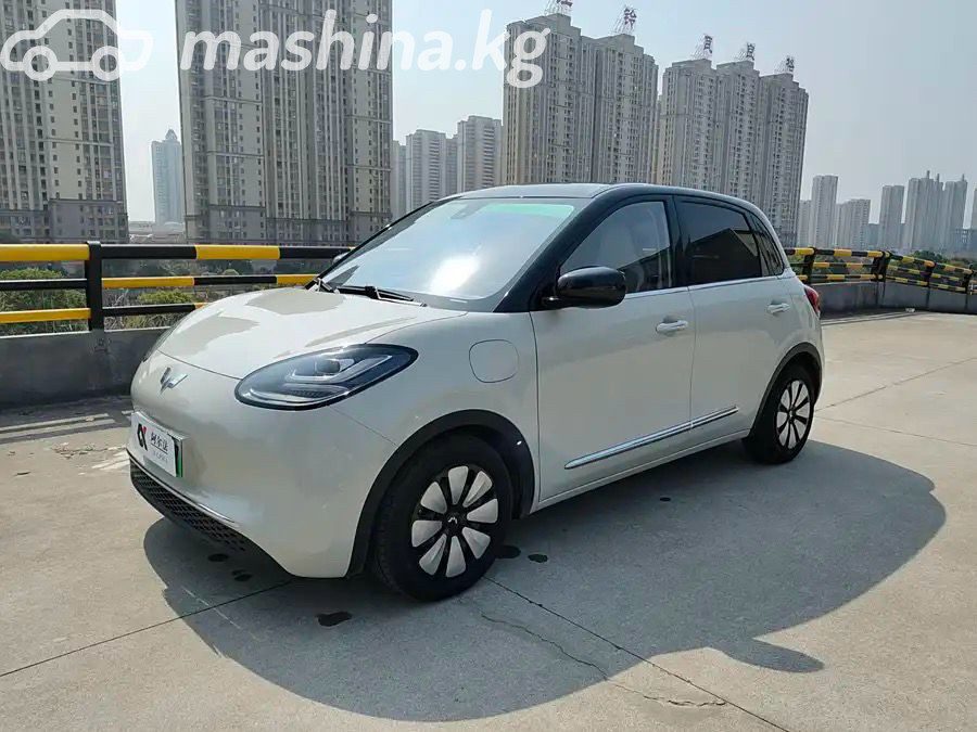 Wuling Binguo